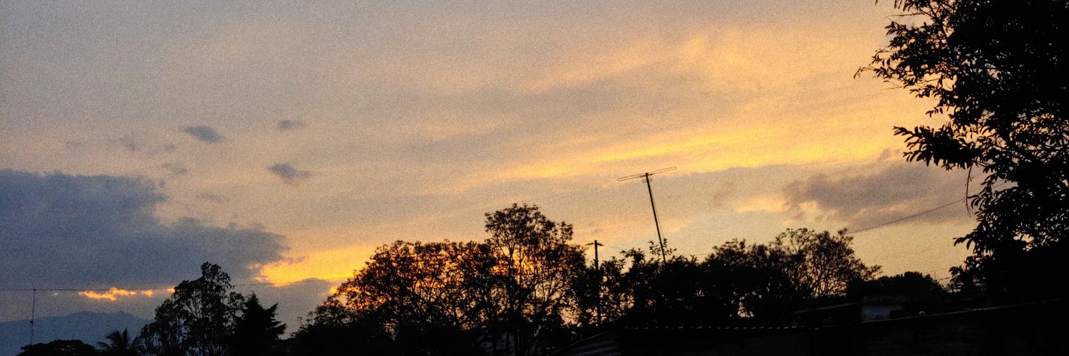 Elvis§ banner