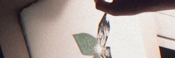 ifav banner