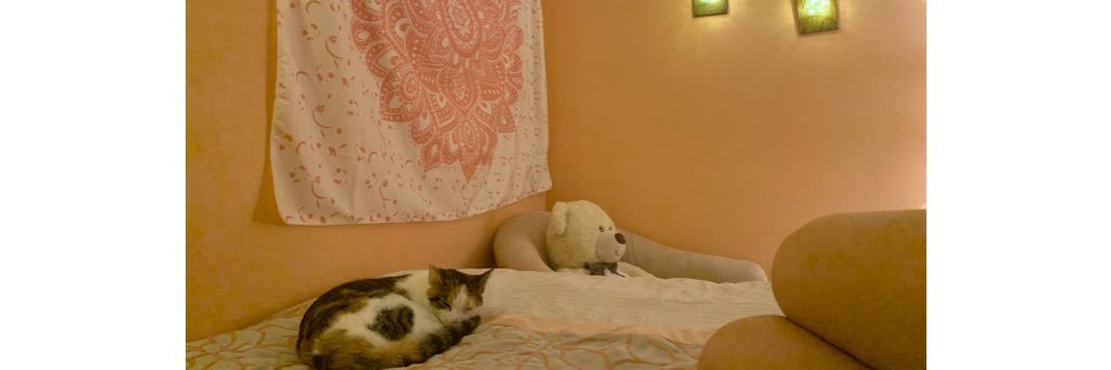foreverpaay's profile banner image