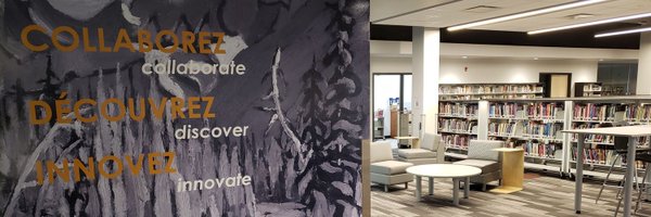 BLibrarylc Profile Banner