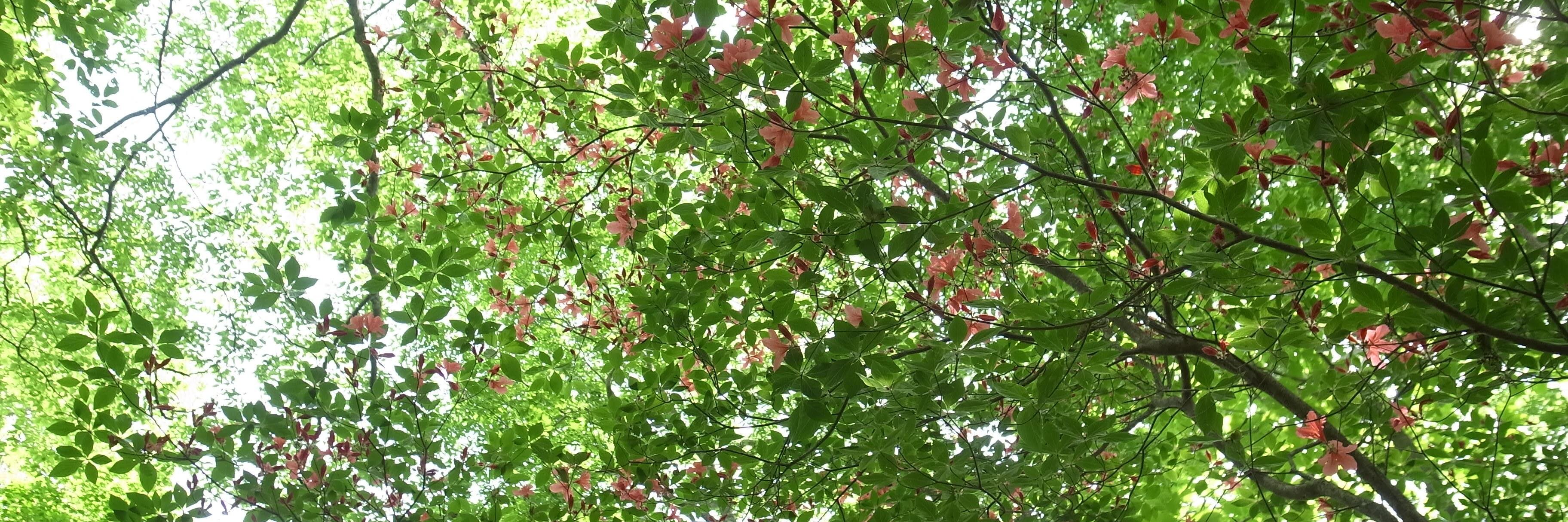 竹端寛（たけばたひろし） banner