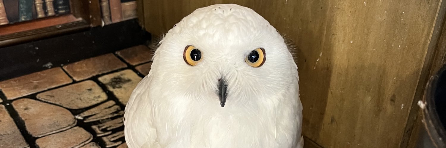 kaofunky's profile banner image