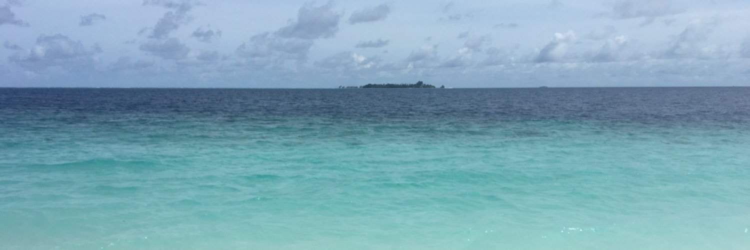 SanreeshaB's profile banner image