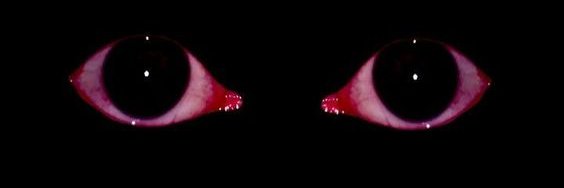 Nidus300's profile banner image