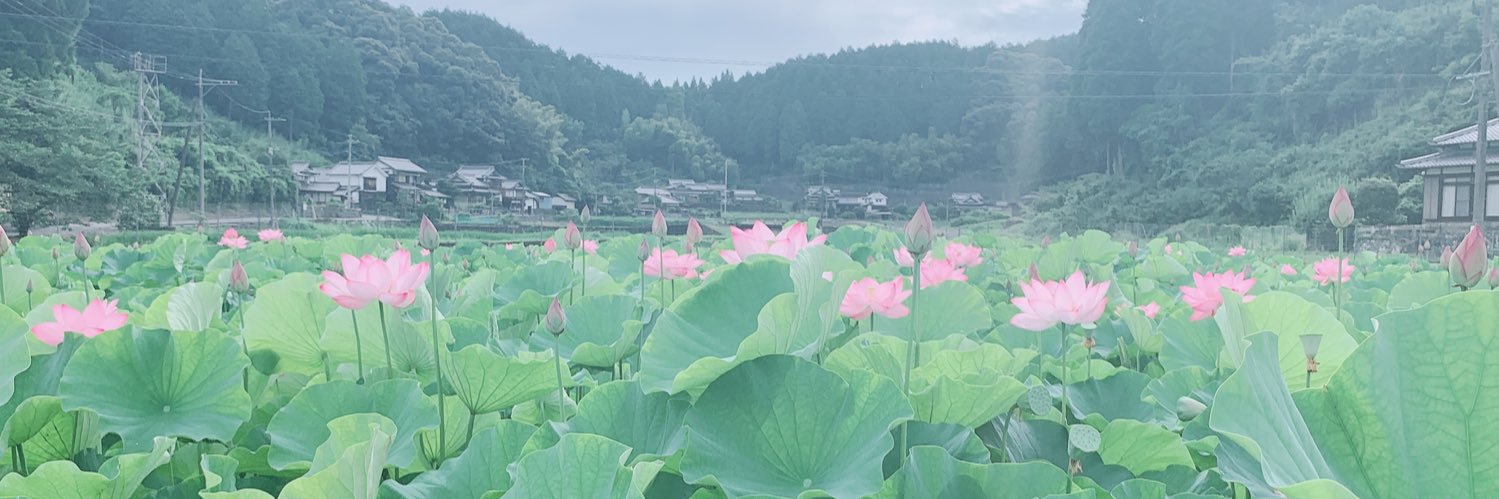tatsuki_0912's profile banner image