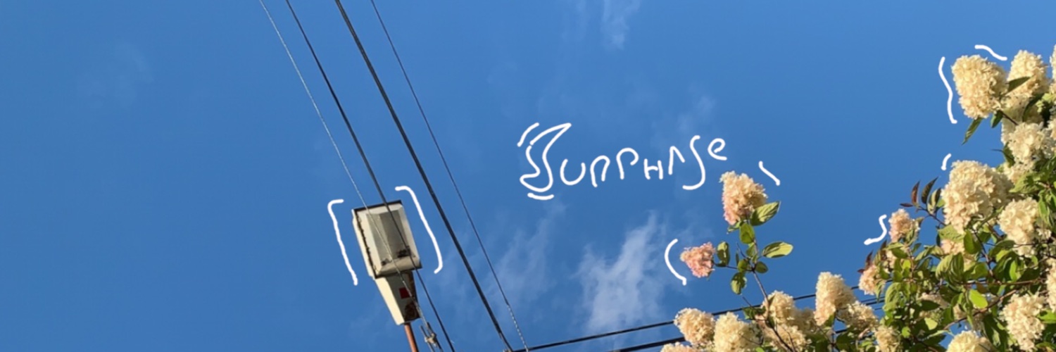 surphasemusic's profile banner image