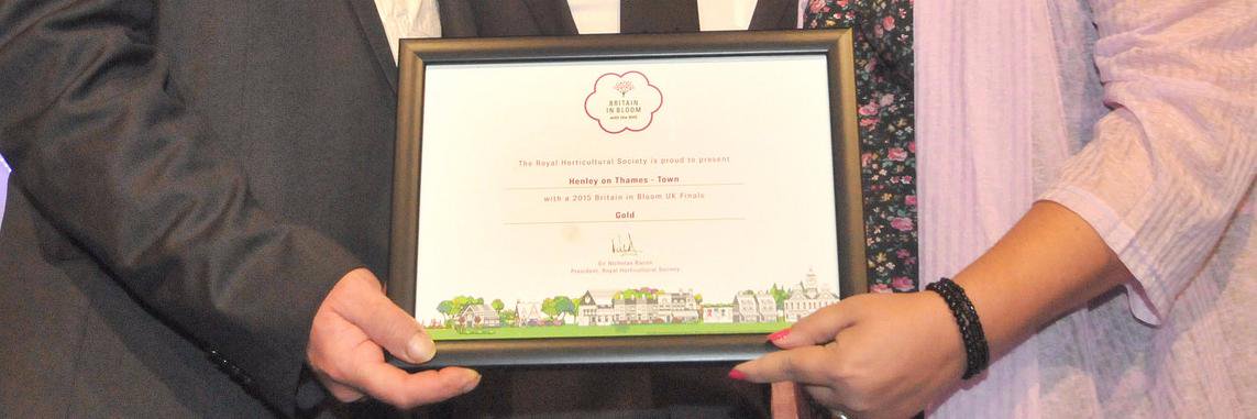 HenleyinBloom's profile banner image