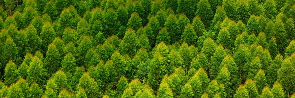 iTevis Profile Banner