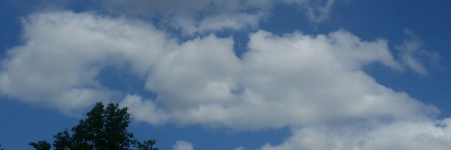 nilly_1988's profile banner image