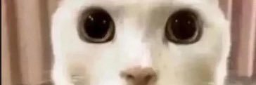 Bonnid_'s profile banner image
