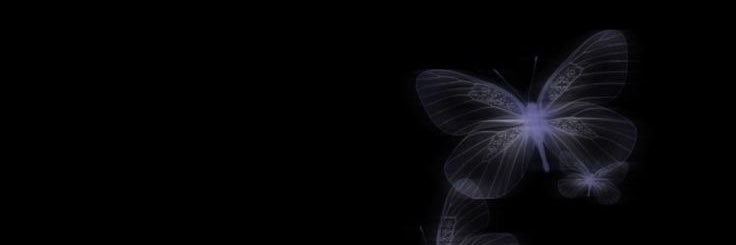 voiddollz's profile banner image