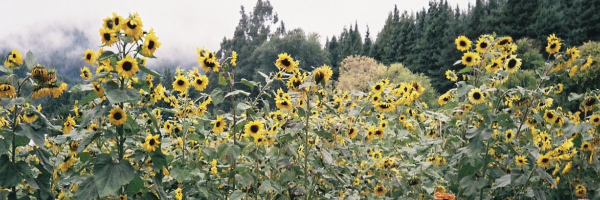 BraattyyB's profile banner image