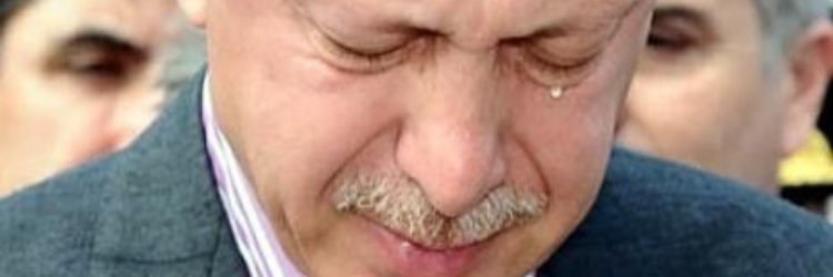 GulruuSevde's profile banner image