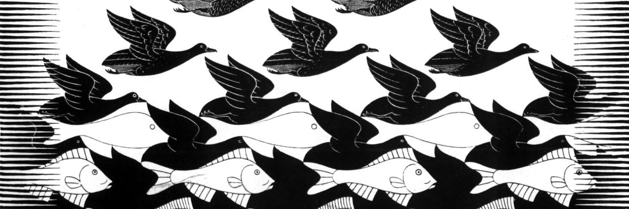 anna brandenberger banner