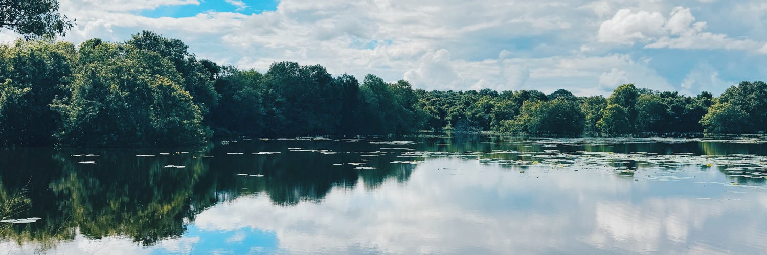 nethmisachy's profile banner image