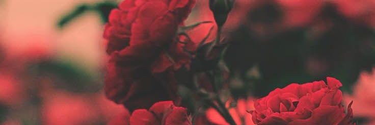 JackBanquet's profile banner image