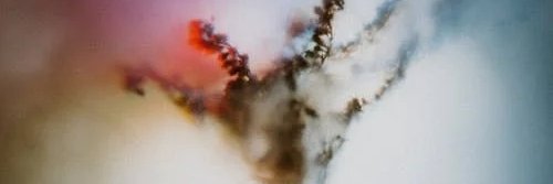 rakulan529's profile banner image
