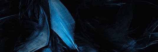 IDdiscovered's profile banner image