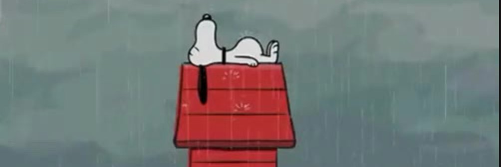 Sam H banner