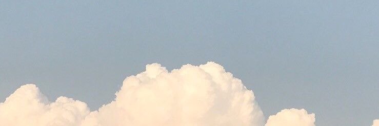 Zheep🐏's banner