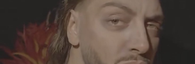 swane banner