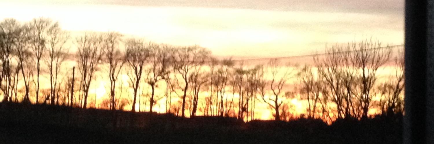 Alan Middleton banner