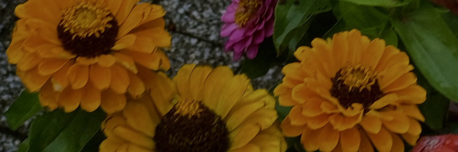befan_0's profile banner image