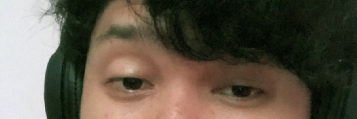 🍦 banner