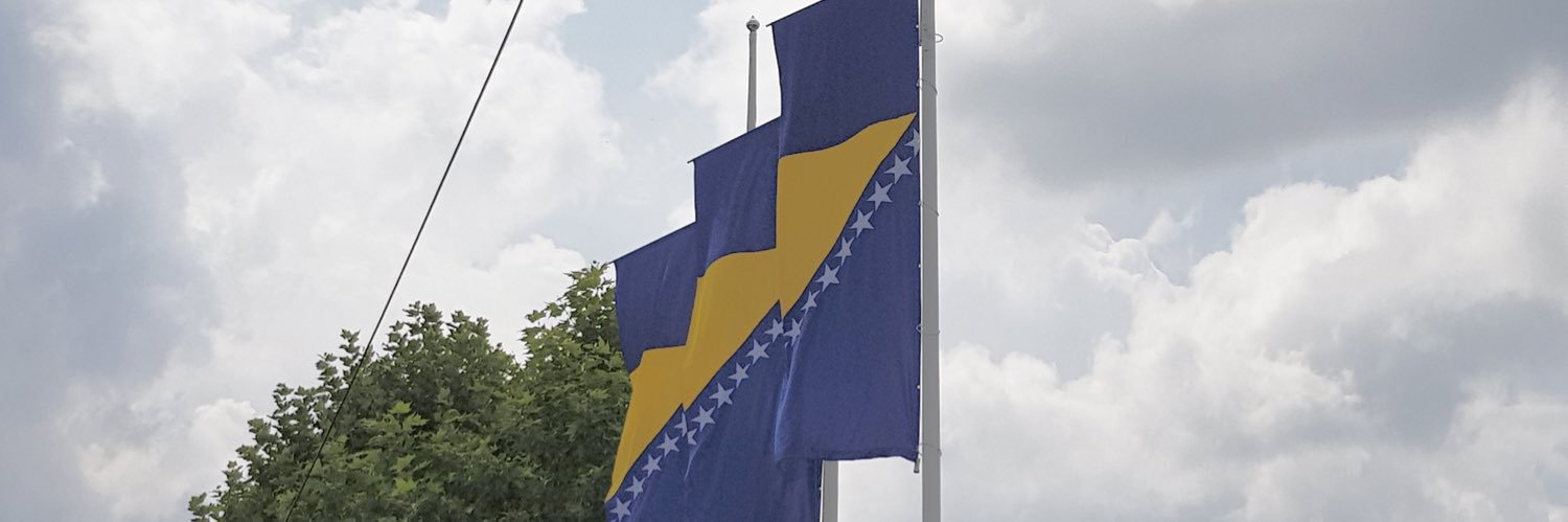 Edvin banner