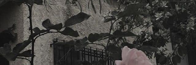 Point🌧 banner