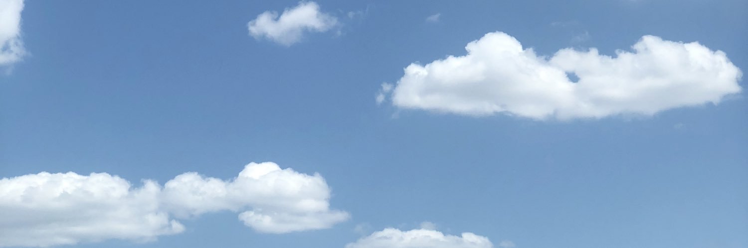 merwefidann's profile banner image