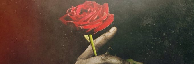 FLEu101's profile banner image