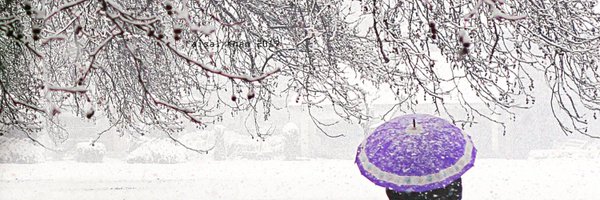 Kashmir_Reader Profile Banner