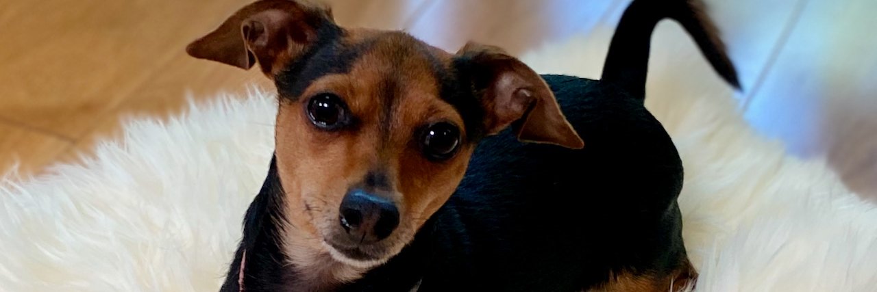 terrie's profile banner image