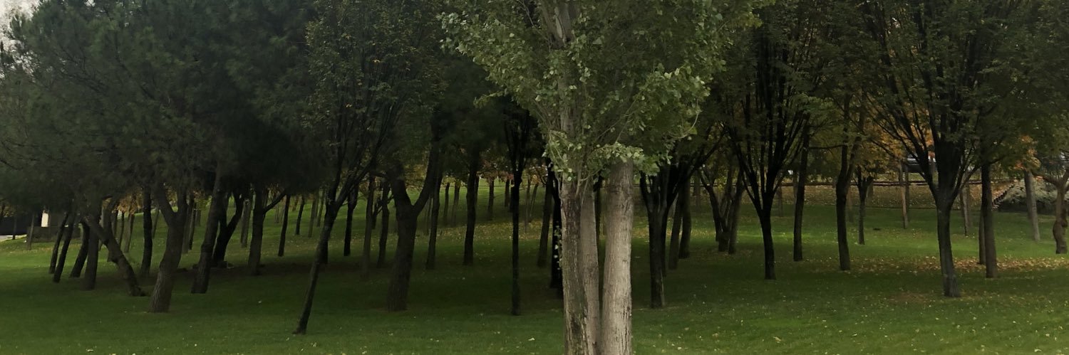 rassidd's profile banner image