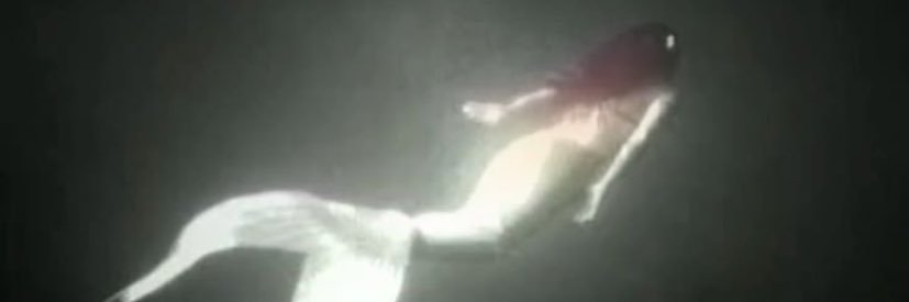 Rabia Eroğlu banner