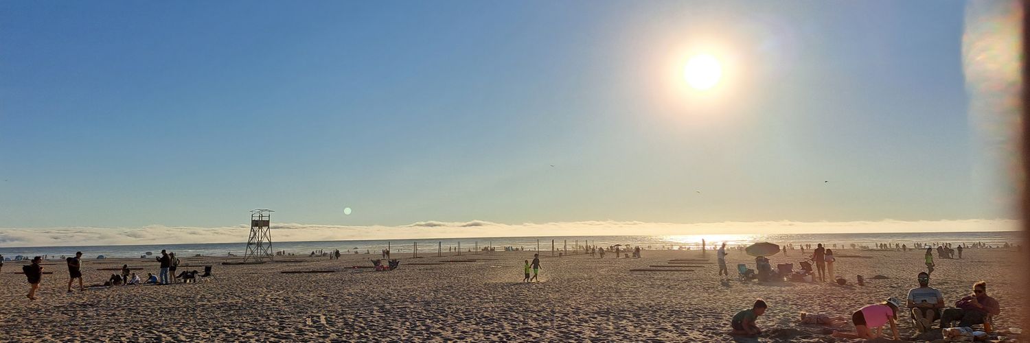 SUMMER RENAISSANCE banner