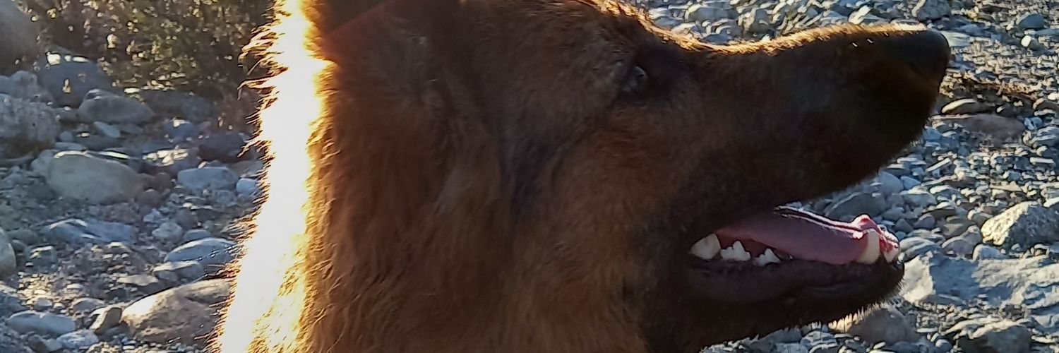 Bren banner