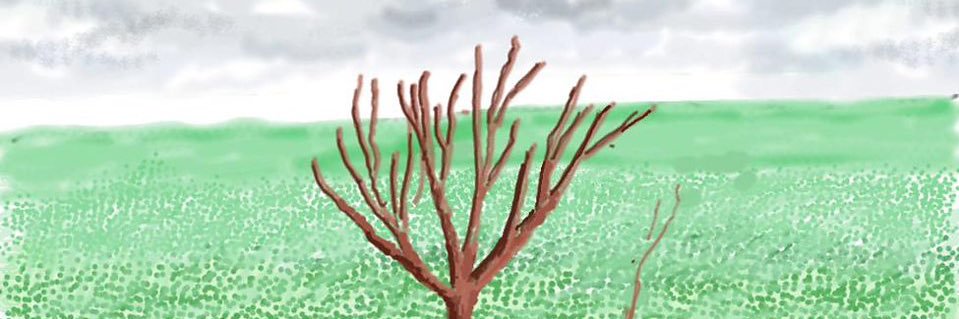 SOUUUSURE's profile banner image