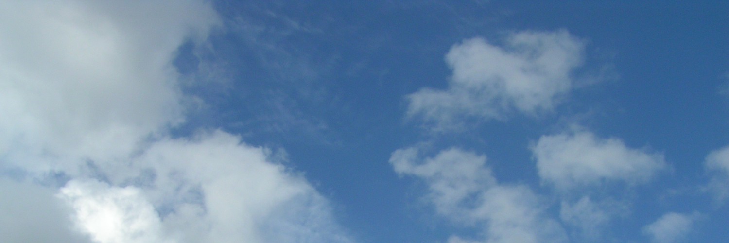 Mark Sheeky's banner
