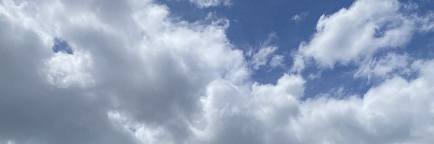 vergarararara's profile banner image