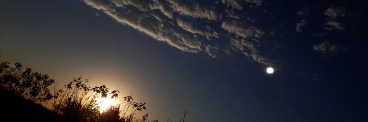 Robslene's profile banner image