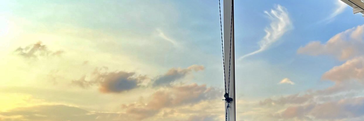 mamira🦖 (ua) banner