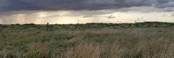 NeilBurt5 Profile Banner