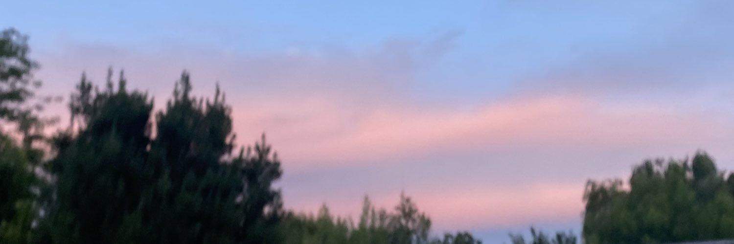 vipertine's profile banner image