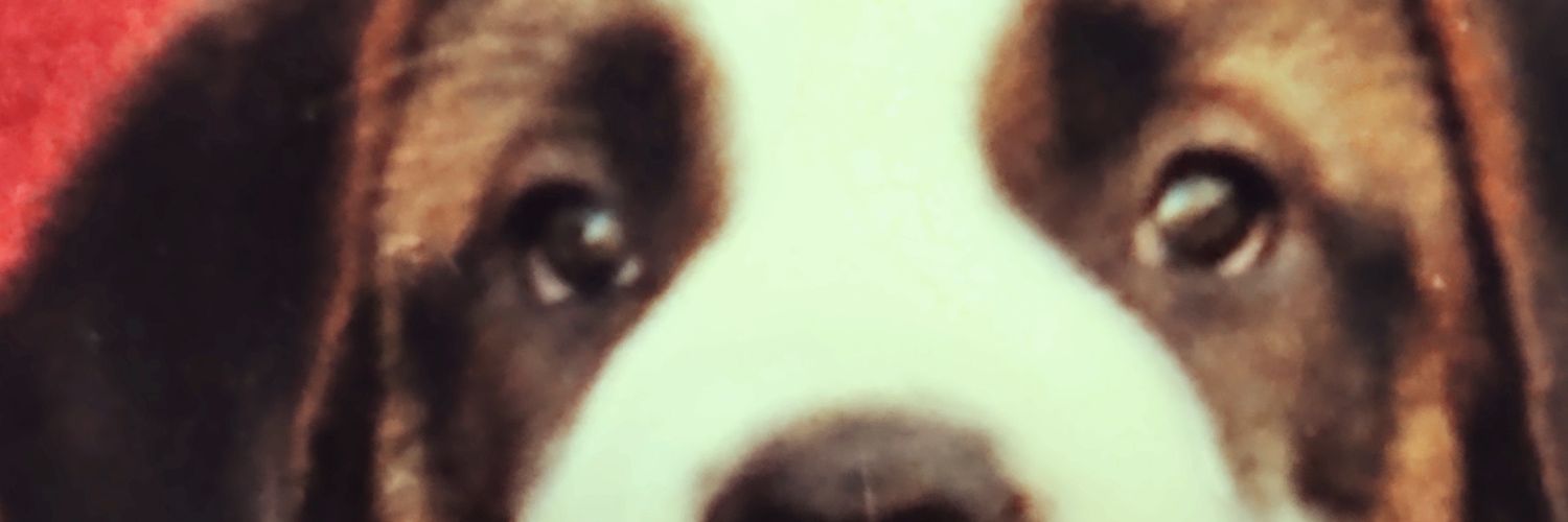 Rosieblue's banner