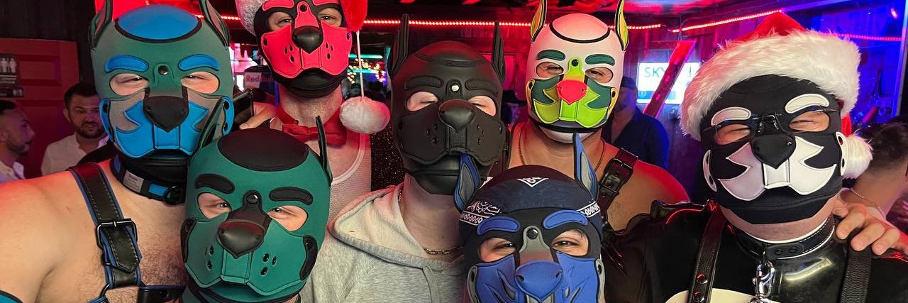 Pup (Himbo) Hawks (puphawks.bsky.social) banner