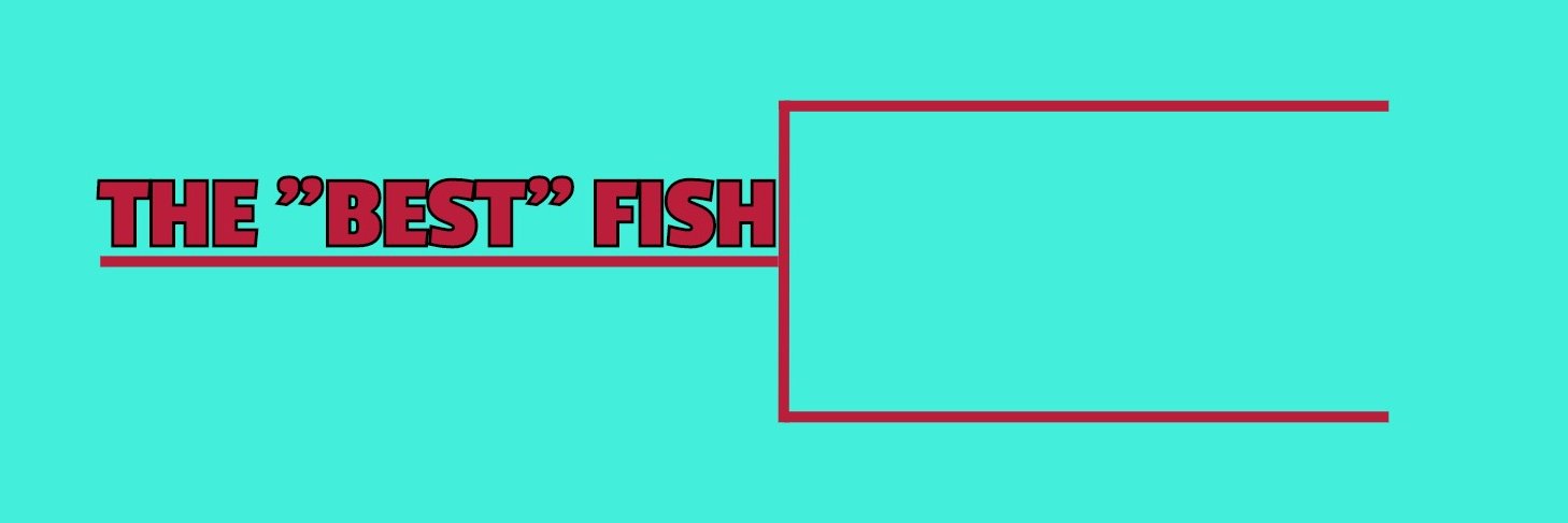 150fishes's profile banner image