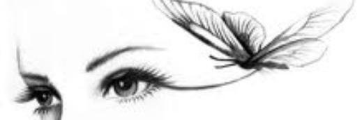 havvebaa's profile banner image