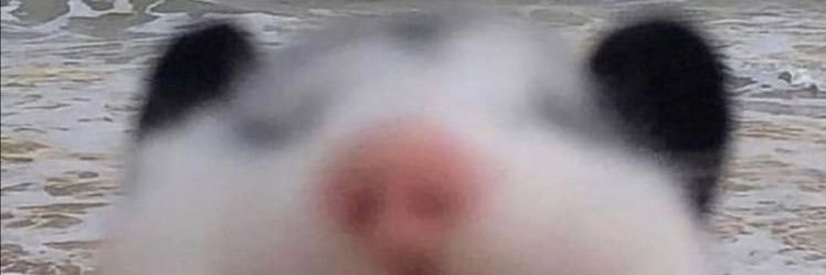 michmuoz7's profile banner image